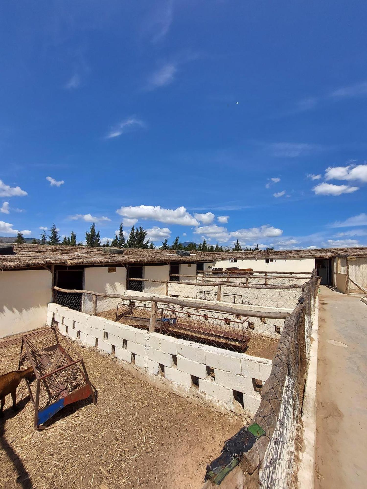 La Granja Casa de hóspedes Tétouan Exterior foto