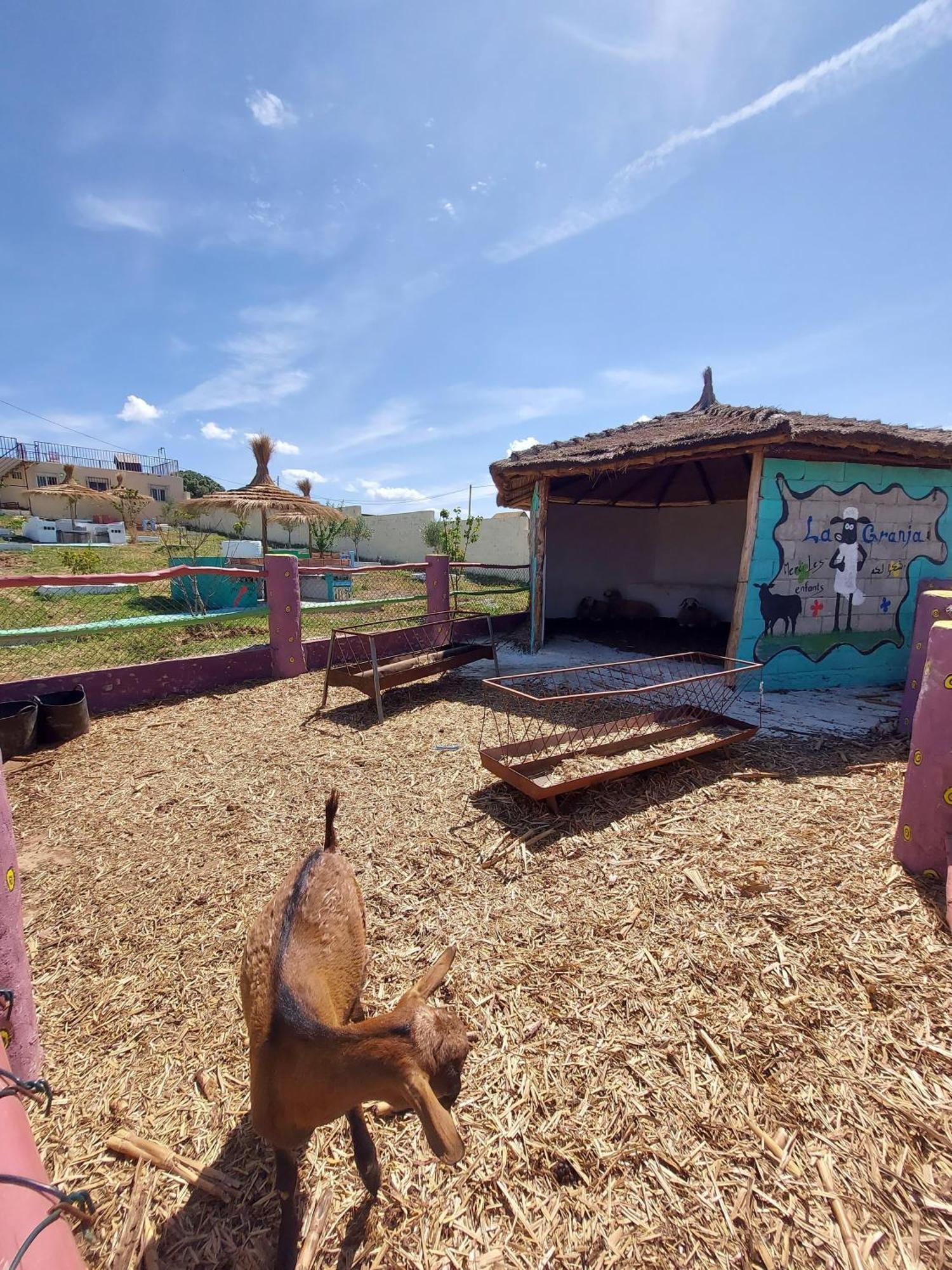 La Granja Casa de hóspedes Tétouan Exterior foto